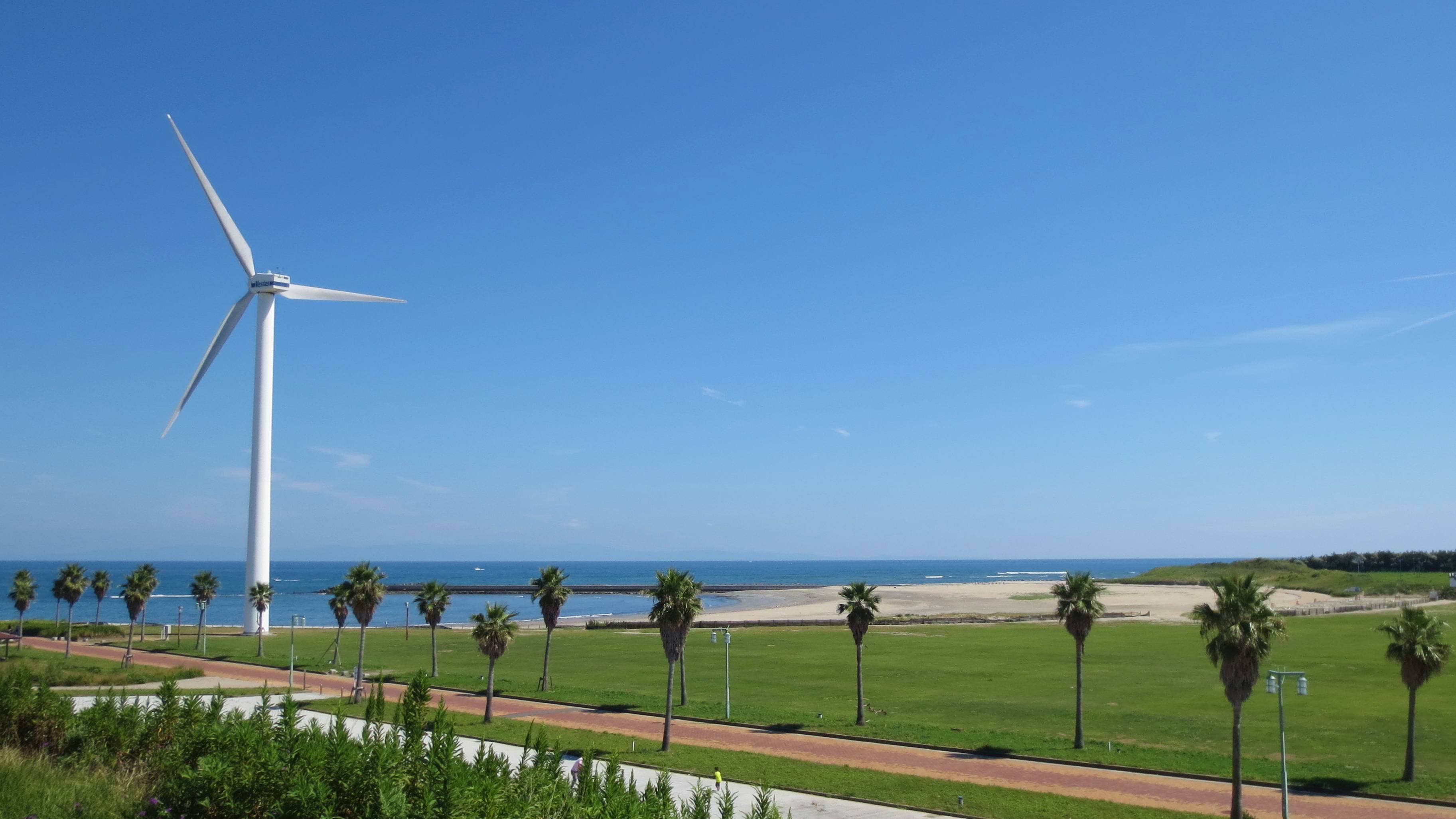 🏞️ 마린파크 오마에자키 이미지 10